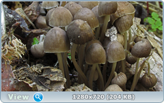0_107ec0_e3d2e3c8_orig.png