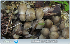 0_107ec2_27fffd0_orig.png