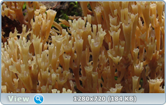 0_1096ce_fe1b2444_orig.png