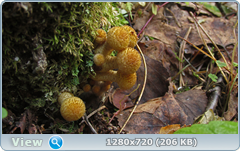 0_1120fd_91e6702b_orig.png