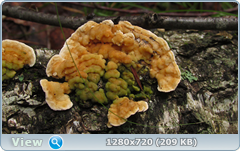 0_112218_2915bb92_orig.png