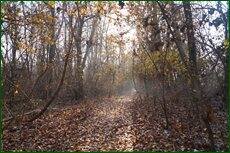 0_c5d4f_ddad8f46_orig.jpg