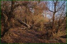 0_c5d77_7b534ce0_orig.jpg