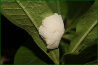 0_e5111_9f7d6837_orig.png