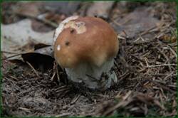 0_12828d_16f96d4c_orig.jpg