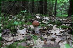 0_128293_f782e91d_orig.jpg