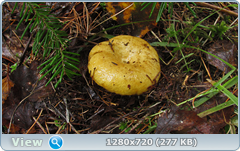 0_110835_d08d402d_orig.png