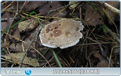 0_11b795_f343b9cb_orig.png