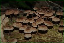 0_fc61d_9829e7b_orig.jpg