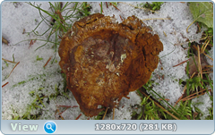 0_115e22_354070be_orig.png