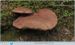 0_11cc34_a598231_orig.png
