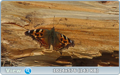 0_137601_e1fd8999_orig.png
