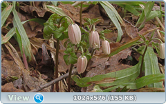 0_1379ab_c115a89e_orig.png