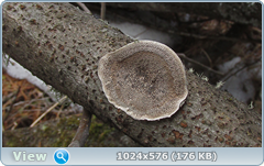 0_1375ef_b71f969a_orig.png