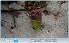 0_1379ad_b71813f5_orig.png
