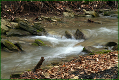 0_104fcd_20720b26_orig.png