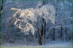 0_155f6a_3d209b9e_orig.jpg
