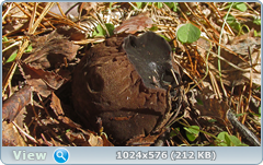 0_137609_7274e5cb_orig.png