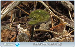 0_102036_bf989952_orig.png