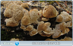 0_103861_3b5ce0ba_orig.png