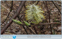 0_105333_cb53d390_orig.png