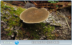 0_106aea_587282f4_orig.png