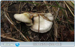 0_107351_c7009863_orig.png