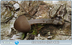 0_1073ab_e2315163_orig.png