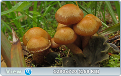 0_1073e5_e36d49b7_orig.png