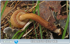 0_107401_840c12f0_orig.png