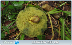 0_10aa22_f3fc12ea_orig.png