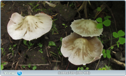 0_10b59e_dc6b65a0_orig.png