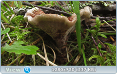 0_117122_e38685d5_orig.png