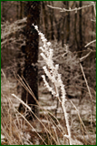 0_106282_4a18a615_orig.png
