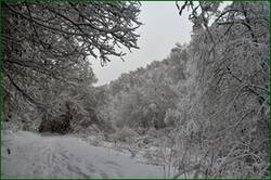 0_155f84_14ae6f4_orig.jpg
