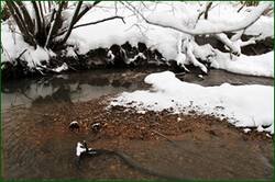 0_155f92_9a18b501_orig.jpg