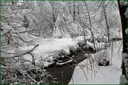0_155f96_de1abb57_orig.jpg