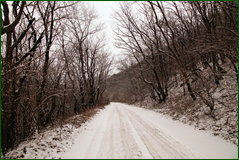 0_104d3d_174595b0_orig.png