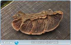 0_114ffb_4f320f36_orig.png