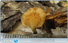 0_11f4f8_bcb120f9_orig.png