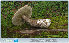 0_10a2d3_cc58ec4b_orig.png