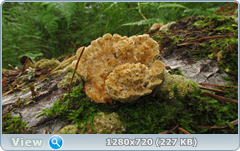 0_10aa92_b3c1bc32_orig.png