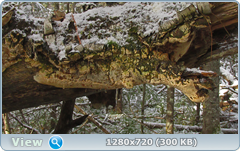 0_11588b_cc5585c1_orig.png