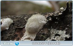 0_1375f1_7f2cacdc_orig.png