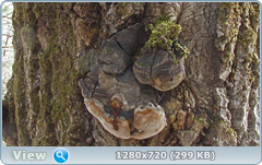 0_102054_3007302_orig.png