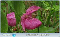 0_1086d0_a3ab7068_orig.png