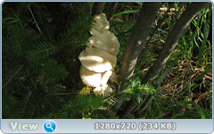 0_10aa32_e8d2972c_orig.png
