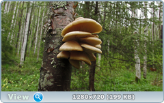0_105947_5181915b_orig.png