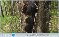 0_105fa6_7b04bfe4_orig.png