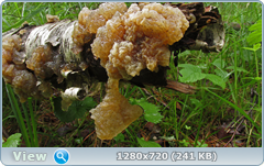 0_109717_c0c6bc44_orig.png